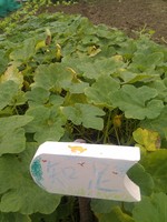 20100215Farm Visit10.jpg